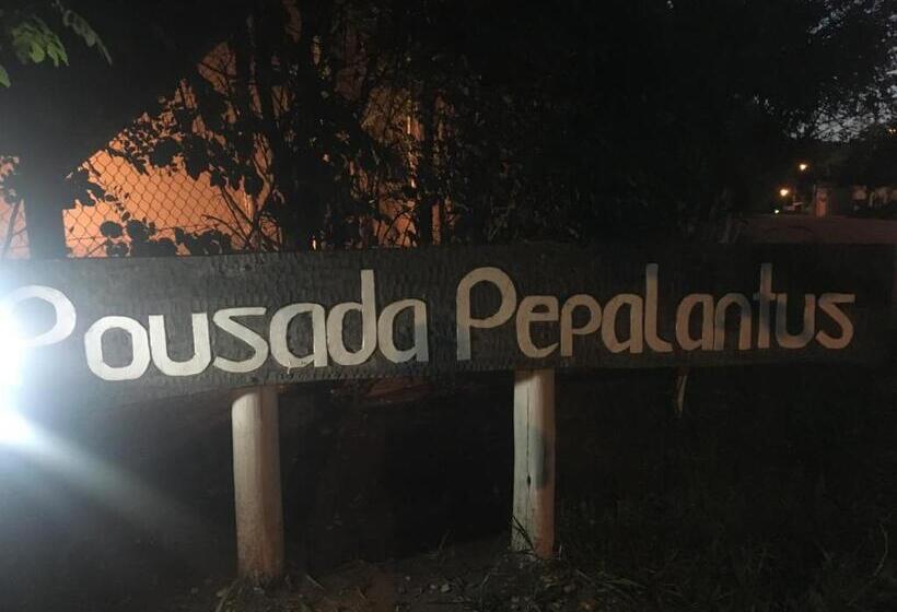 ペンション Pousada Pepalantus