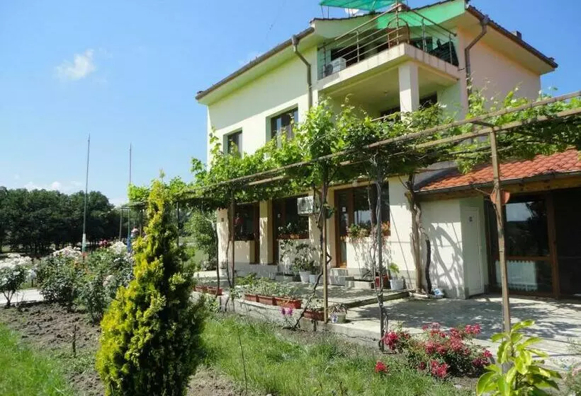 پانسیون Sirius Guest House
