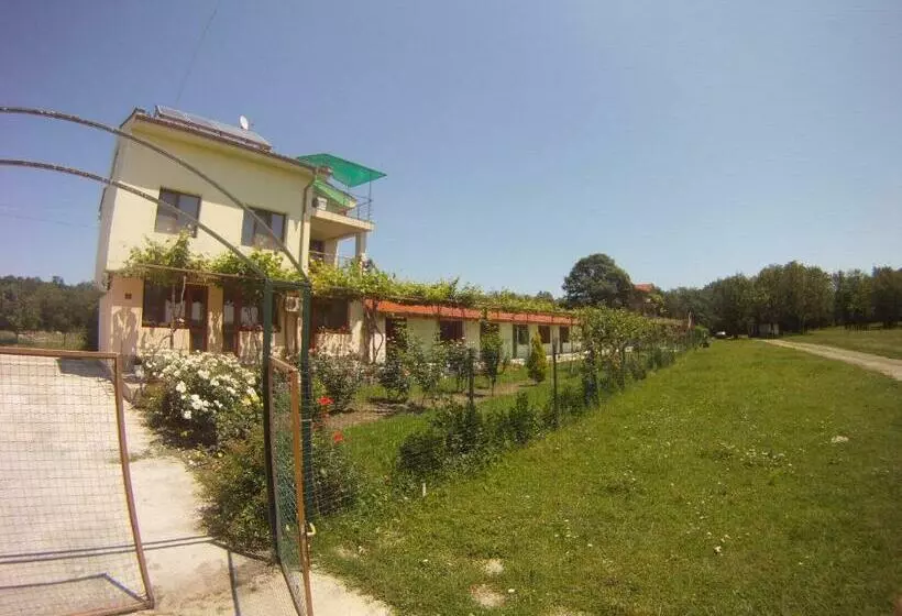 پانسیون Sirius Guest House