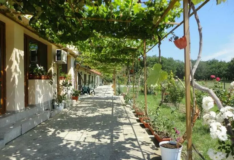 پانسیون Sirius Guest House