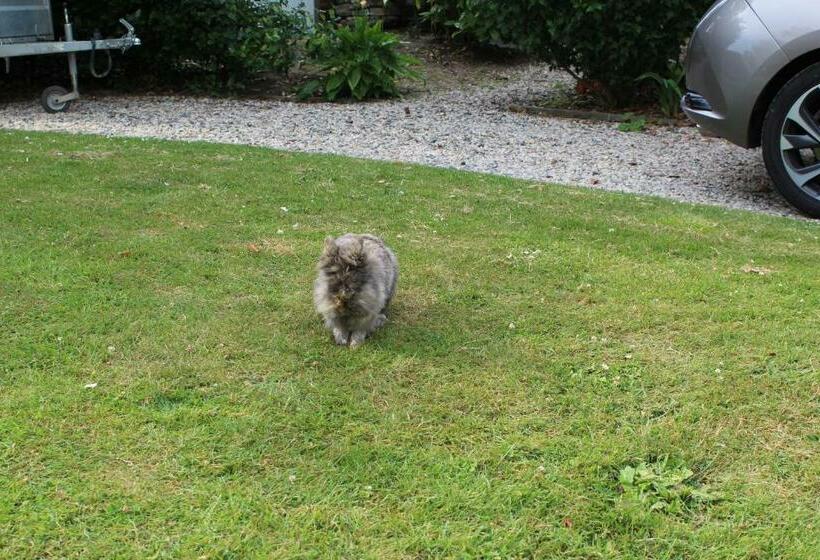 Bed and Breakfast Chambres D Hôtes La Gloriette