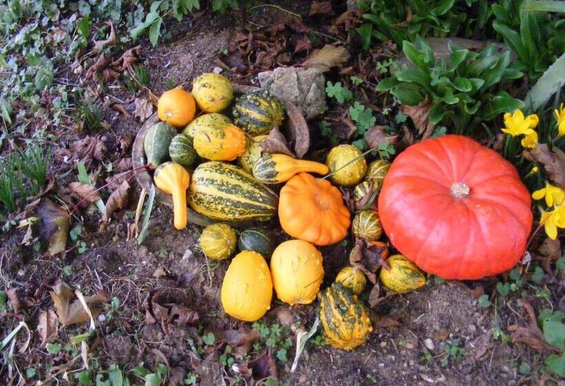 مبيت وإفطار Chambres D Hôtes Vignes Et Loire