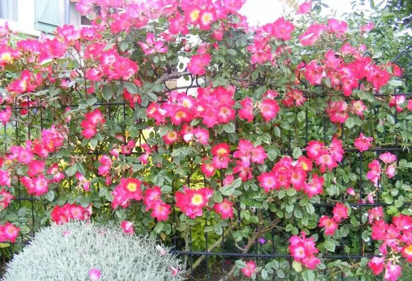 ベッドアンドブレックファースト Chambres D Hôtes Vignes Et Loire