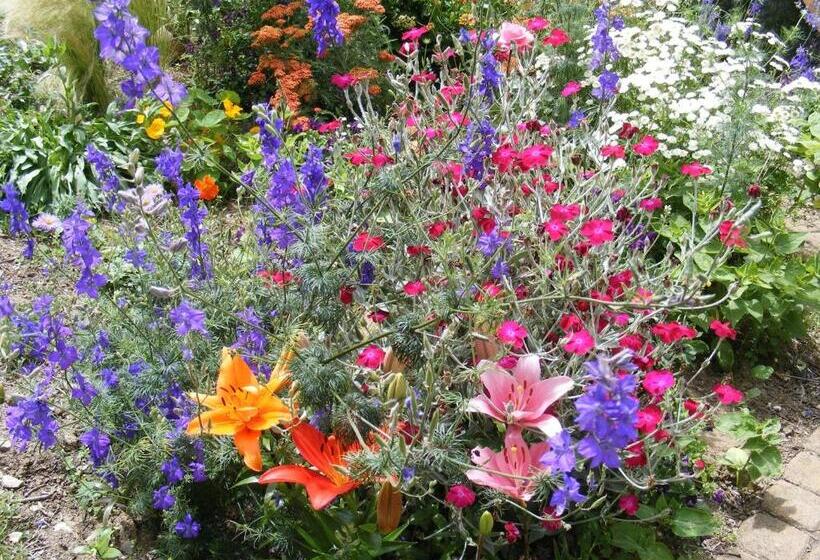 مبيت وإفطار Chambres D Hôtes Vignes Et Loire