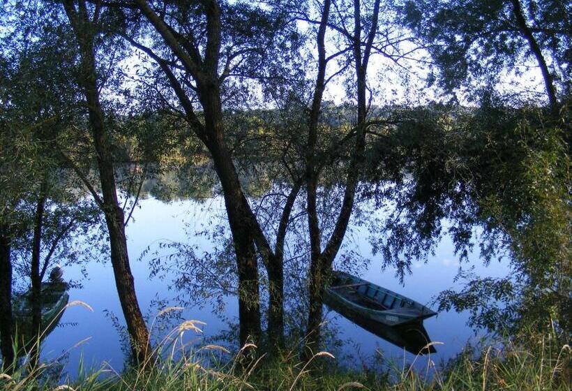 مبيت وإفطار Chambres D Hôtes Vignes Et Loire