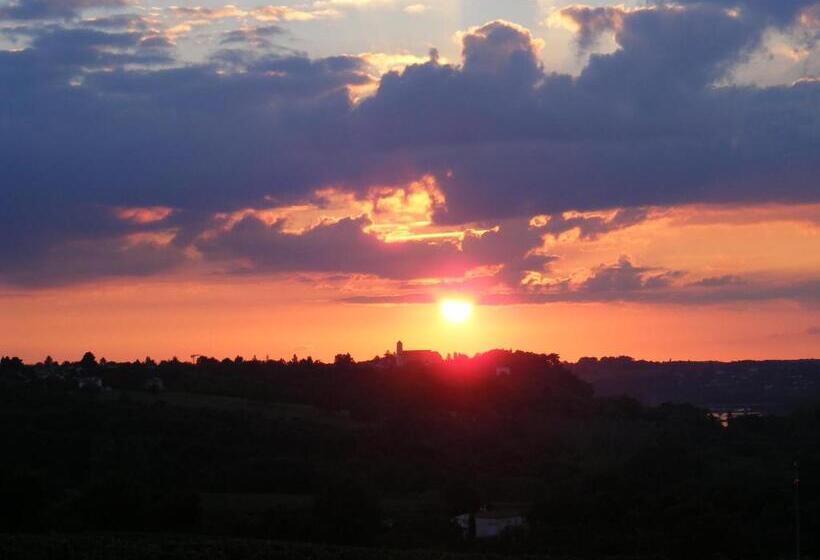 مبيت وإفطار Chambres D Hôtes Vignes Et Loire