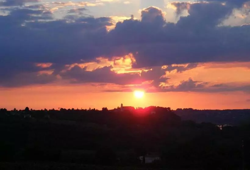 ベッドアンドブレックファースト Chambres D Hôtes Vignes Et Loire
