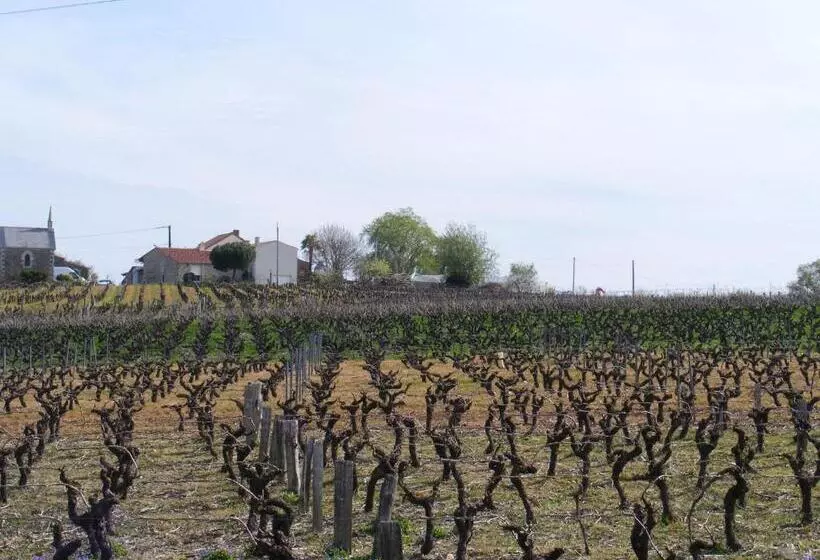 ベッドアンドブレックファースト Chambres D Hôtes Vignes Et Loire