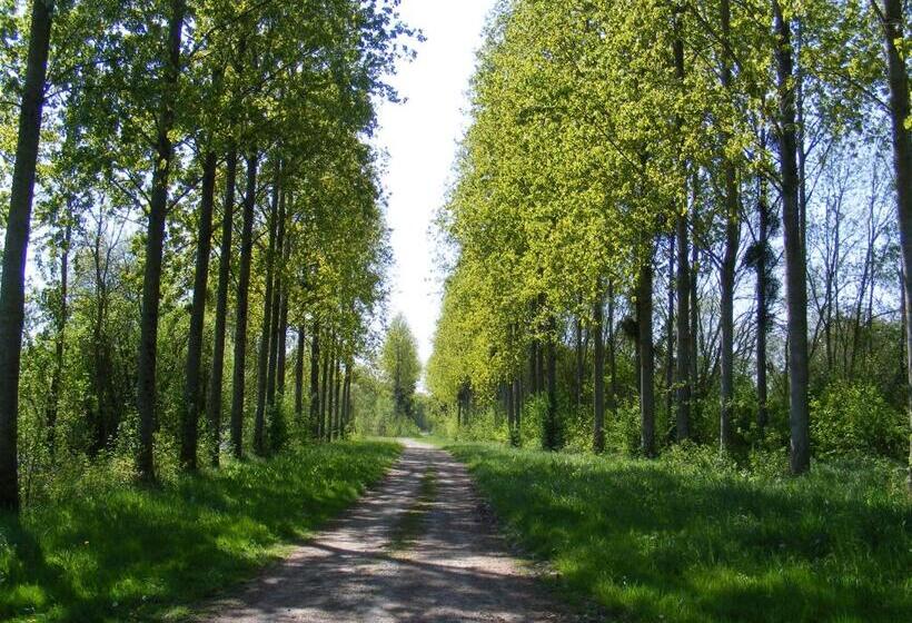 مبيت وإفطار Chambres D Hôtes Vignes Et Loire