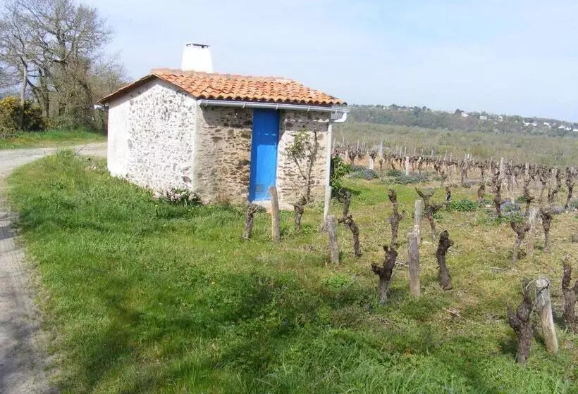 ベッドアンドブレックファースト Chambres D Hôtes Vignes Et Loire