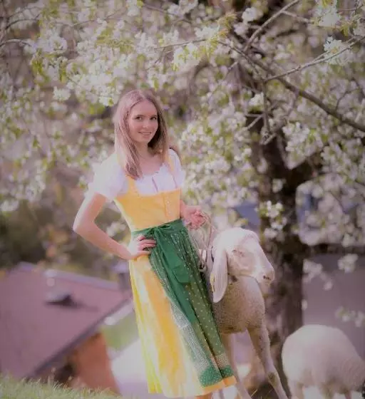 ベッドアンドブレックファースト Landhaus Tuxerschafer