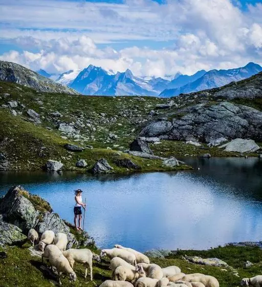 ベッドアンドブレックファースト Landhaus Tuxerschafer