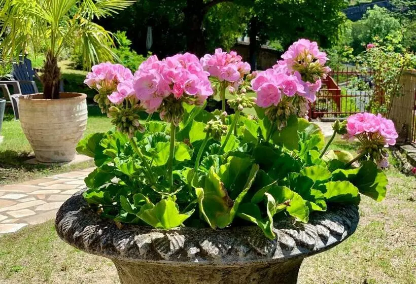 ベッドアンドブレックファースト Villa St. Hubert