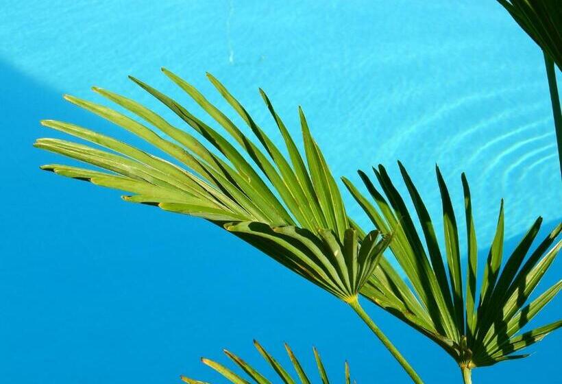 פנסיון Guesthouse Villa Altea