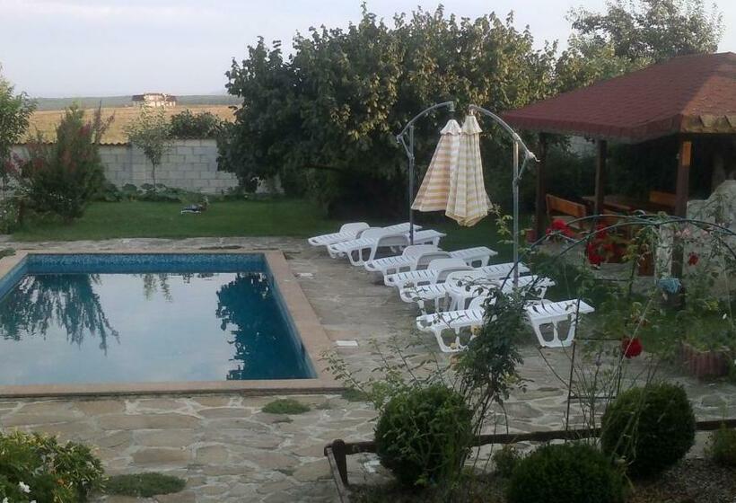 פנסיון The White House