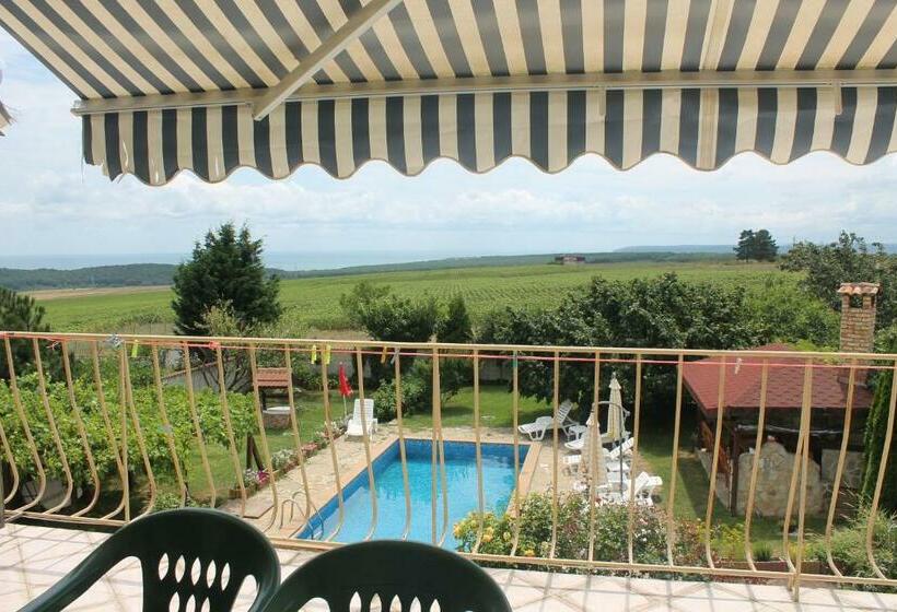 פנסיון The White House