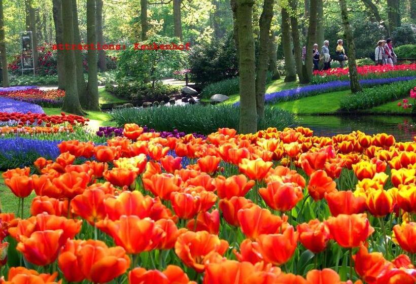 Teska Bed & Breakfast