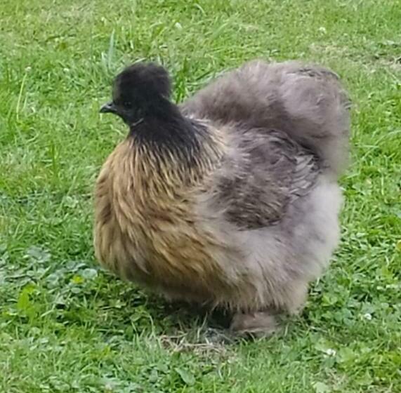 ベッドアンドブレックファースト Chambres D Hotes Du Port Gautier