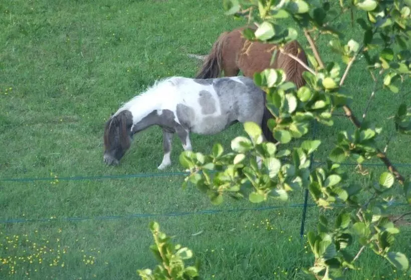 Aamiaismajoitus (B&B) Chambres D Hotes Du Port Gautier