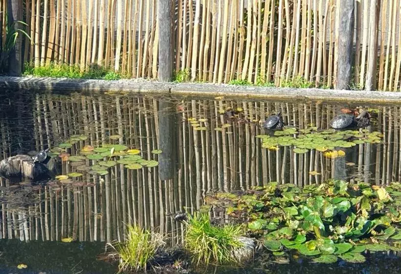 Aamiaismajoitus (B&B) Het Pauwtje