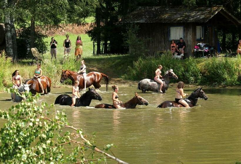 Отель Reiterhof Stöglehner