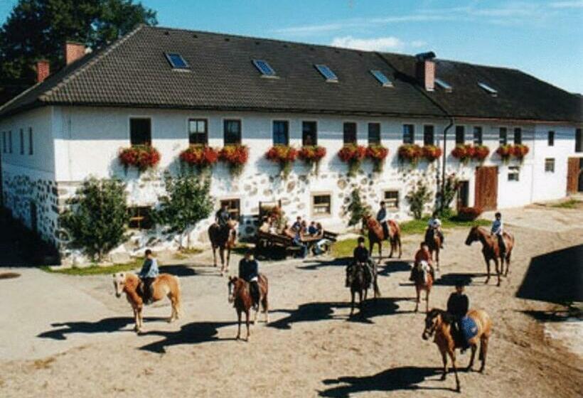 Отель Reiterhof Stöglehner