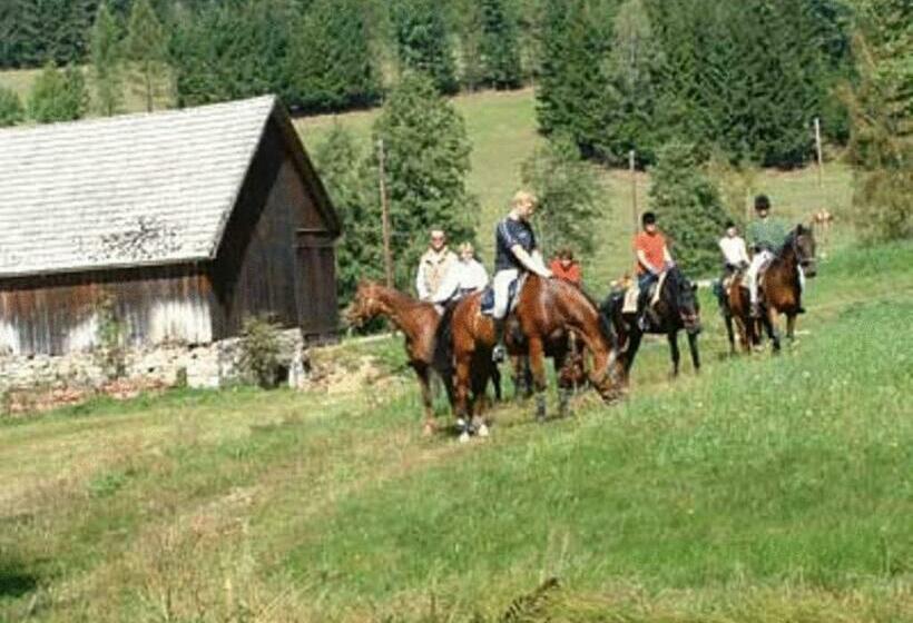 Отель Reiterhof Stöglehner