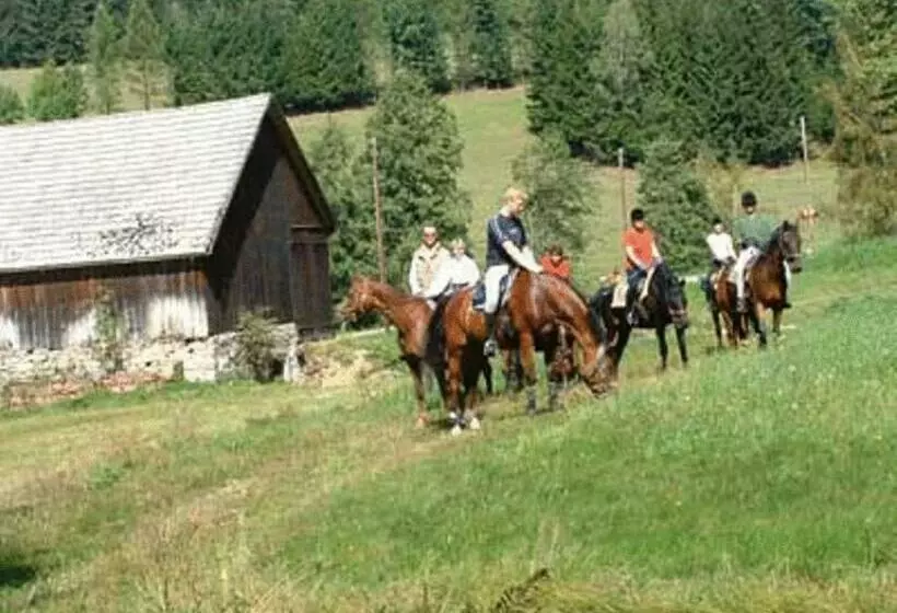 ホテル Reiterhof Stöglehner