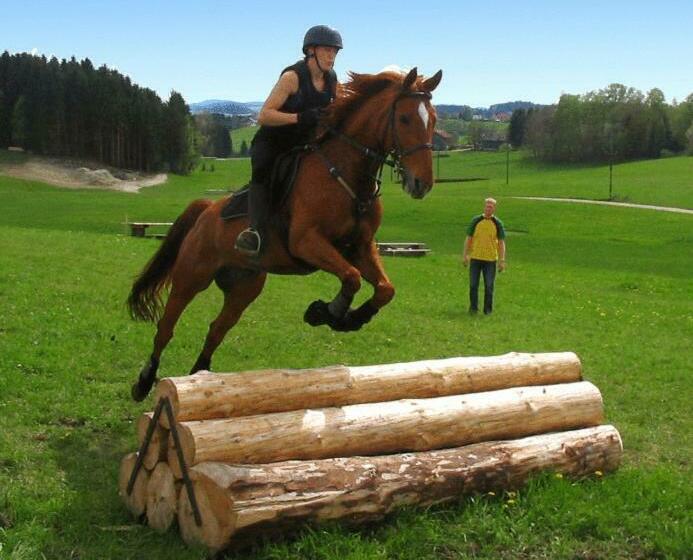 Отель Reiterhof Stöglehner