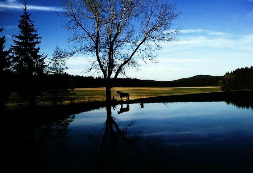 Отель Reiterhof Stöglehner