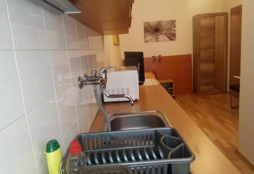 پانسیون Apartmány   Penzion Smetanka