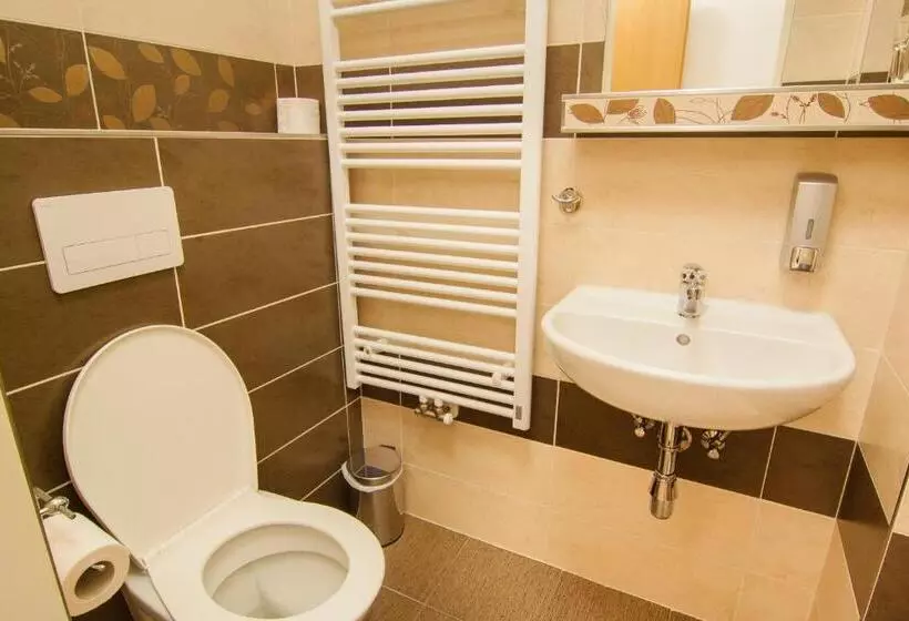 پانسیون Apartmány   Penzion Smetanka