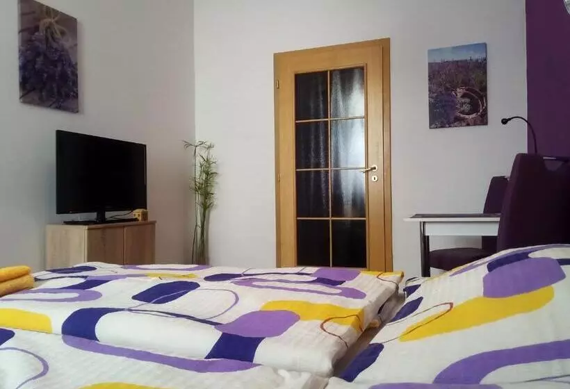 پانسیون Apartmány   Penzion Smetanka
