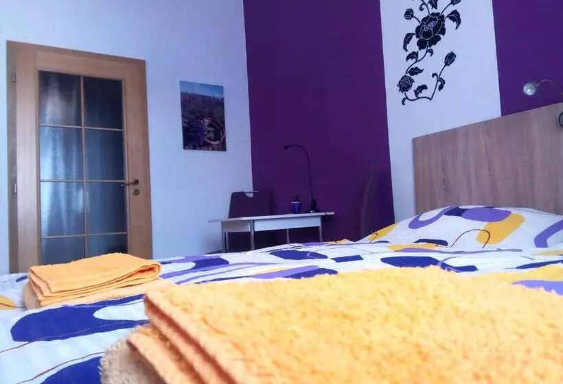 پانسیون Apartmány   Penzion Smetanka