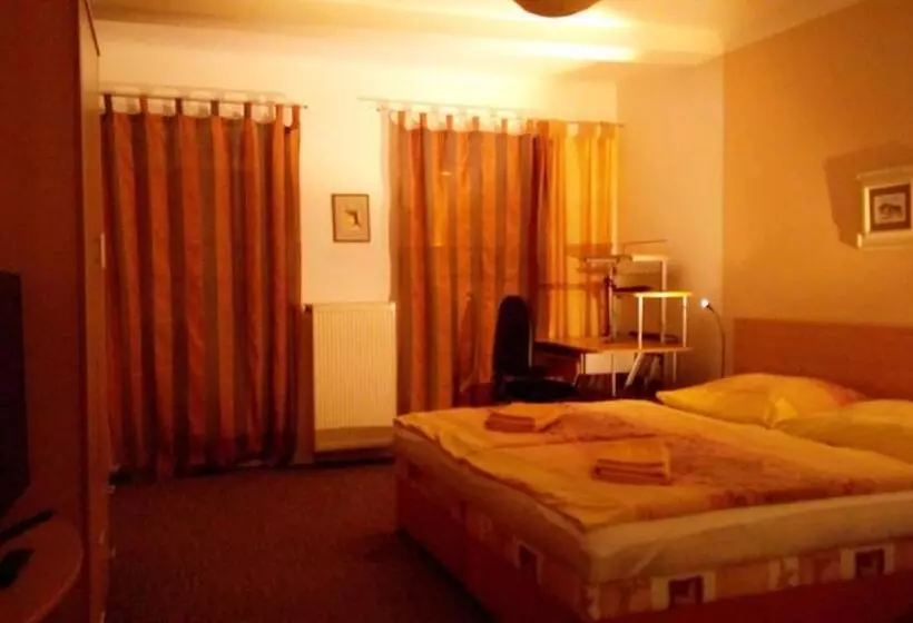 پانسیون Apartmány   Penzion Smetanka
