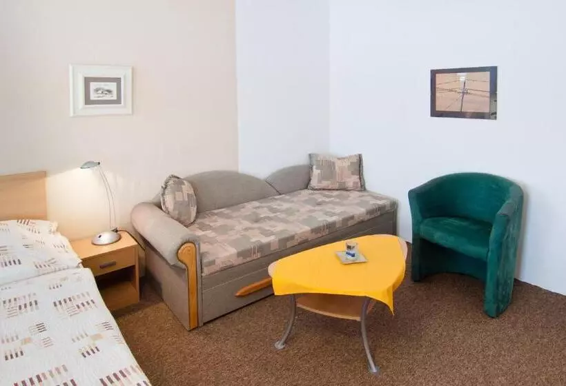 پانسیون Apartmány   Penzion Smetanka
