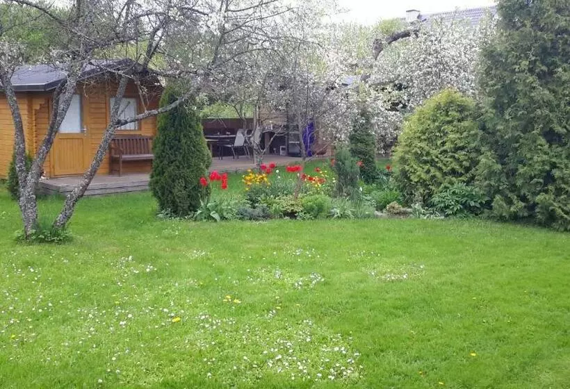 پانسیون Kaare Guesthouse