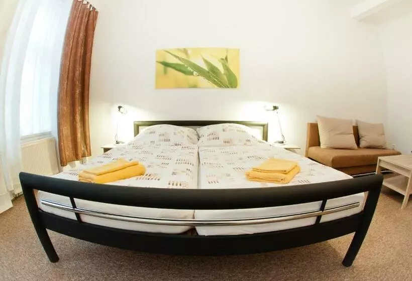پانسیون Apartmány   Penzion Smetanka