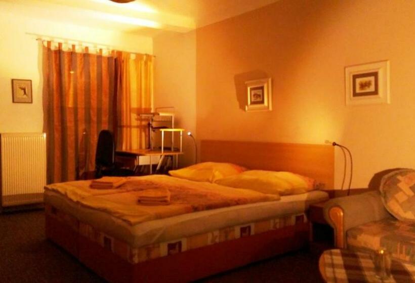 膳宿费 Apartmány   Penzion Smetanka