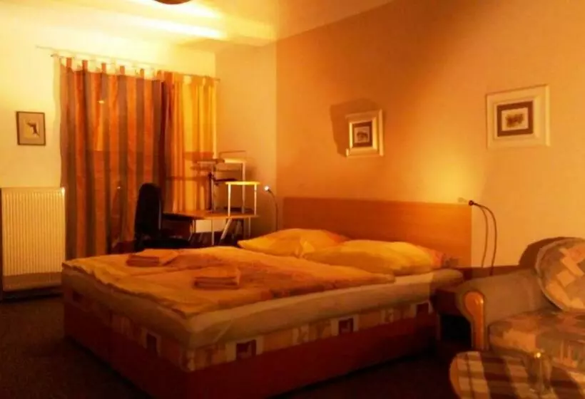 پانسیون Apartmány   Penzion Smetanka