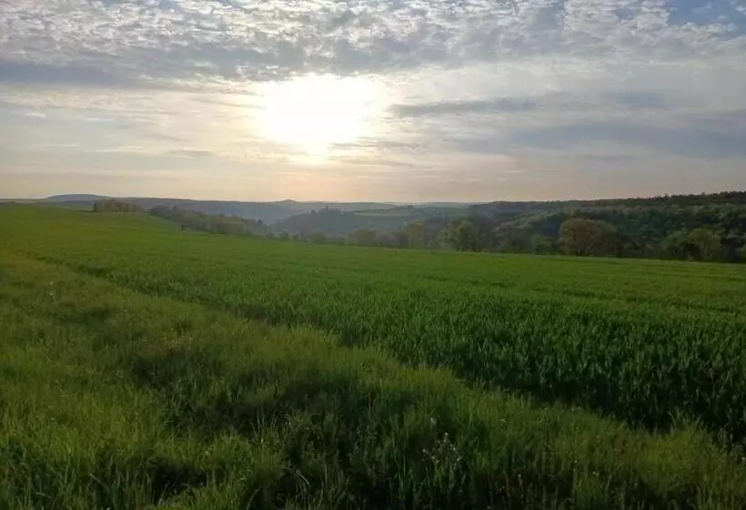 ホテル Garni Lindenhof Im Steigerwald