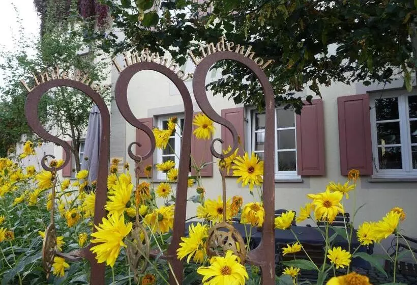 ホテル Garni Lindenhof Im Steigerwald