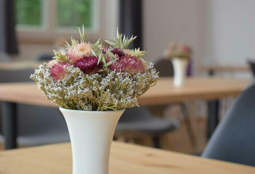 بنسيون Wuhrsteinhaus