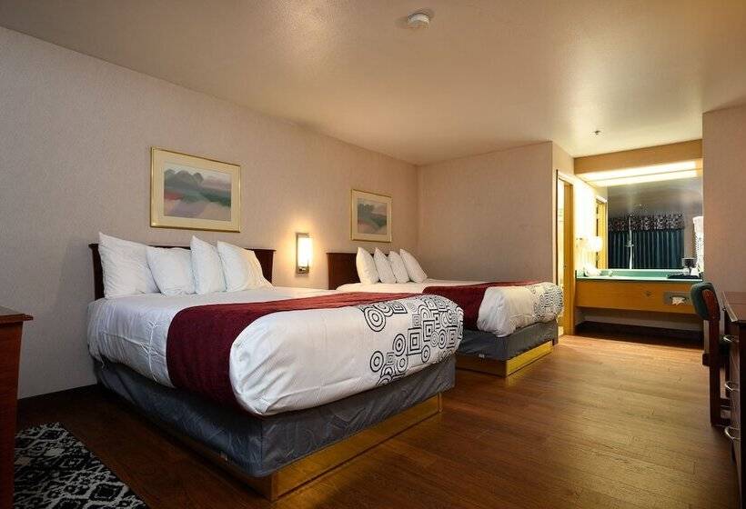 ホテル Americas Best Value Inn Phoenix / Ashland