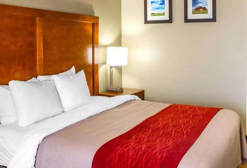 Отель Comfort Inn & Suites Coralville Iowa City Near Iowa River Landing