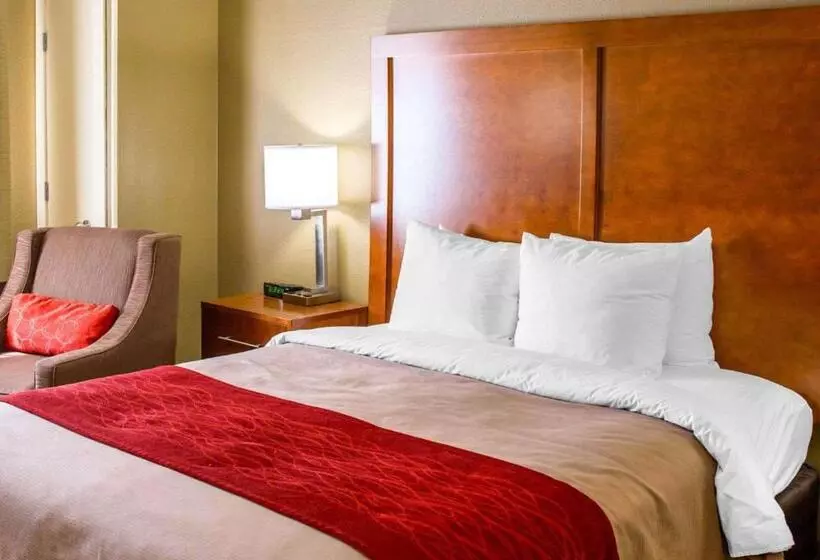 Отель Comfort Inn & Suites Coralville Iowa City Near Iowa River Landing