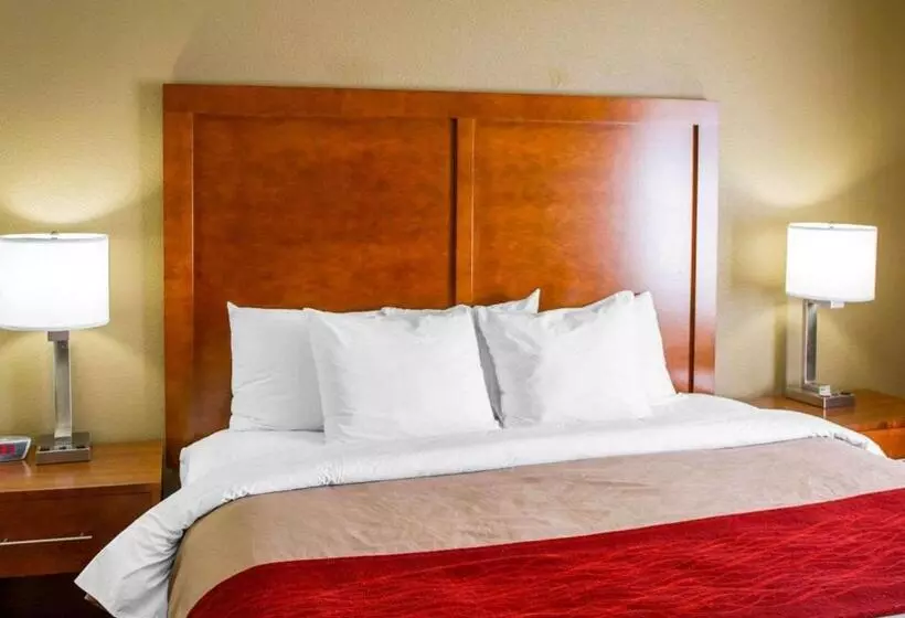 Отель Comfort Inn & Suites Coralville Iowa City Near Iowa River Landing