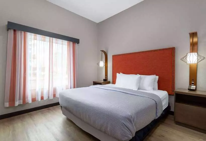 Hotel La Quinta Inn & Suites By Wyndham Augusta Fort Eisenhower