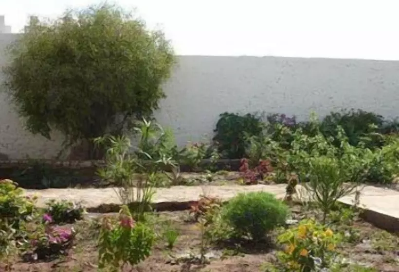 Отель Sol E Luna