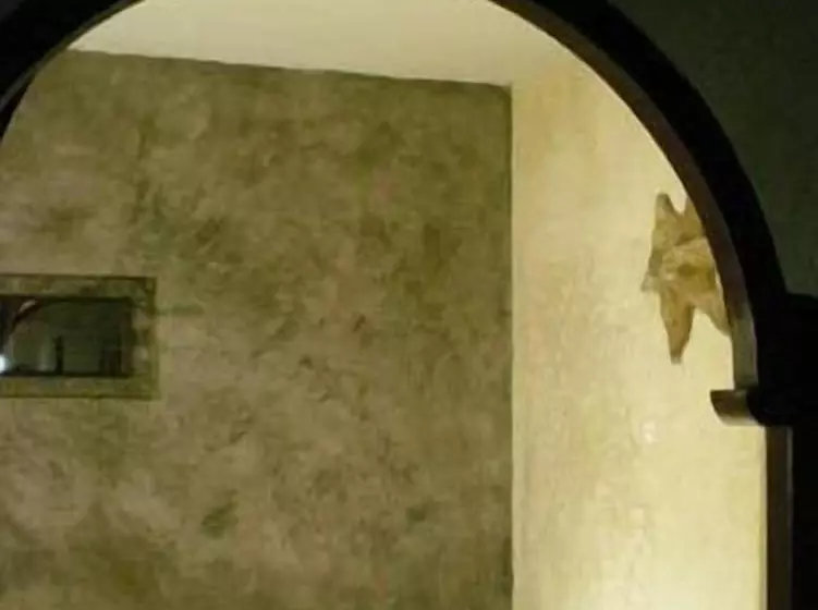 Отель Sol E Luna